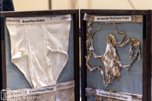 495042981_988666976804322_1230199757075404773_n