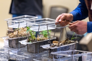 495151788_988667390137614_6513578411263247747_n